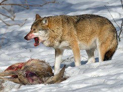 My face moments later.