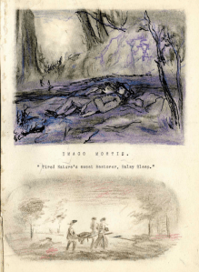 Elijah Evan Edwards - Imago Mortis