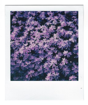 Minneapolis - 050220