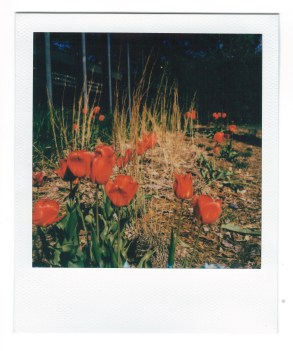 Minneapolis - 051220