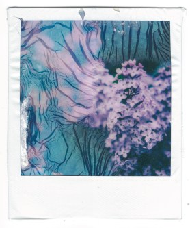 Minneapolis - 052220