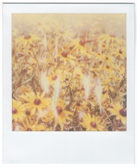 Minneapolis - 070320