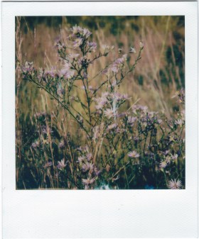 Minneapolis - 092520(2)